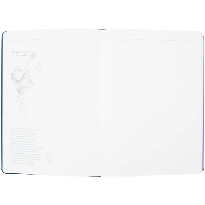 Ежедневник &laquo;История изобретений&raquo;, недатированный, синий