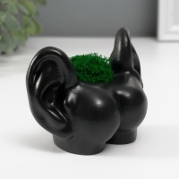 Кашпо бетонное "Попка с ушами" со мхом 8х10 см черный (мох зеленый стабилизированный) Кашпо бетонное "Попка с ушами" со мхом 8х10 см черный (мох зеленый стабилизированный)