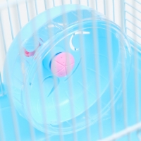 Клетка для грызунов "Пижон", двухэтажная с наполнением 31 х 24 х 29 см, голубая Клетка для грызунов "Пижон", двухэтажная с наполнением 31 х 24 х 29 см, голубая