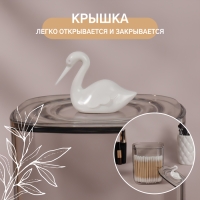 Органайзер для хранения «Пеликан», с крышкой, 9 × 9 × 13,5 см, цвет прозрачный Органайзер для хранения «Пеликан», с крышкой, 9 × 9 × 13,5 см, цвет прозрачный