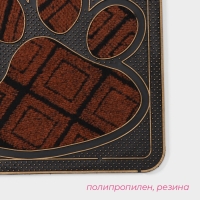 Коврик придверный Доляна «Лапка», цвет МИКС Коврик придверный Доляна «Лапка», цвет МИКС