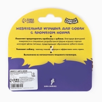 Игрушка для собак жевательная со ароматом корма &laquo;Кость с шипами&raquo;, 12.7 х 2.5 см