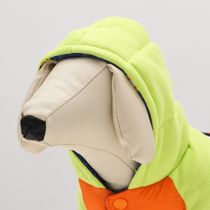 Комбинезон Комбинезон "Эльф", размер 14 (ДС 32 см, ОГ 42 см, ОШ 31 см), салатово-оранжевый