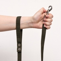 Поводок брезентовый 2 м х 2 см, тёмно-зелёный