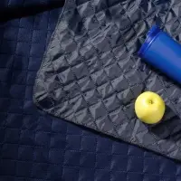 Плед для пикника Soft & Dry 2, синий