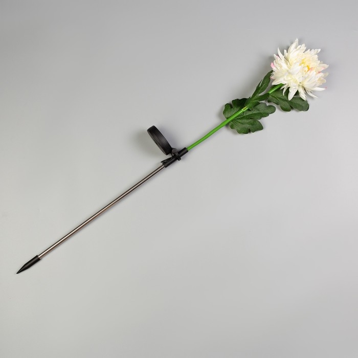 Садовый светильник на солнечной батарее «Хризантема белая», 75 см, 1 LED, свечение белое Садовый светильник на солнечной батарее «Хризантема белая», 75 см, 1 LED, свечение белое