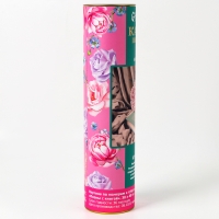 Картина по номерам в тубусе &laquo;Пионы с книгой&raquo;, 30 х 40 см