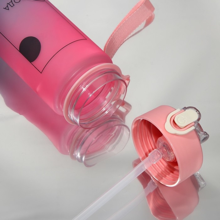 Бутылка для воды &laquo;Источник жизни&raquo;, 700 мл