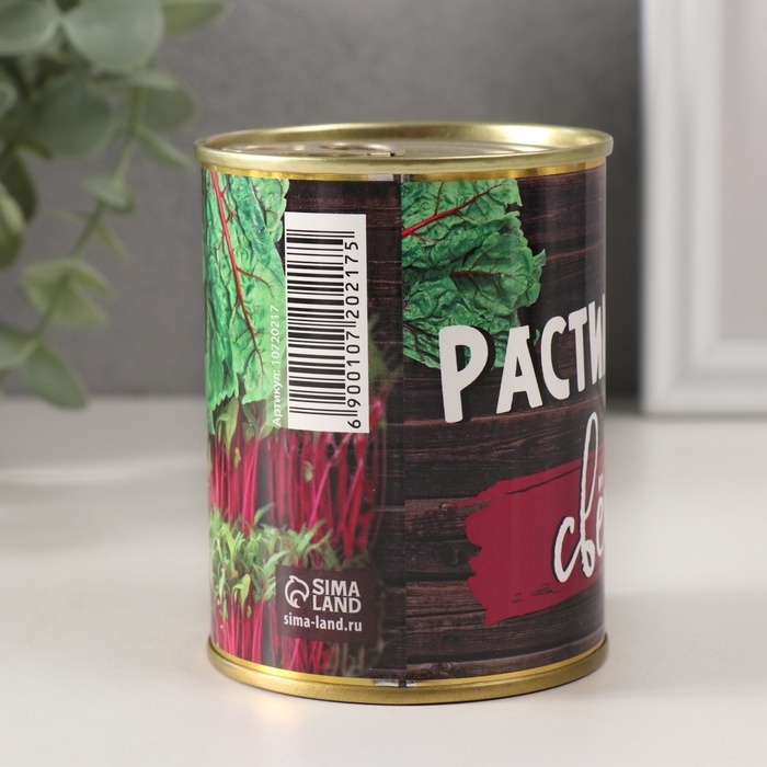 Растущий подарок травка "Растим дома свеклу"