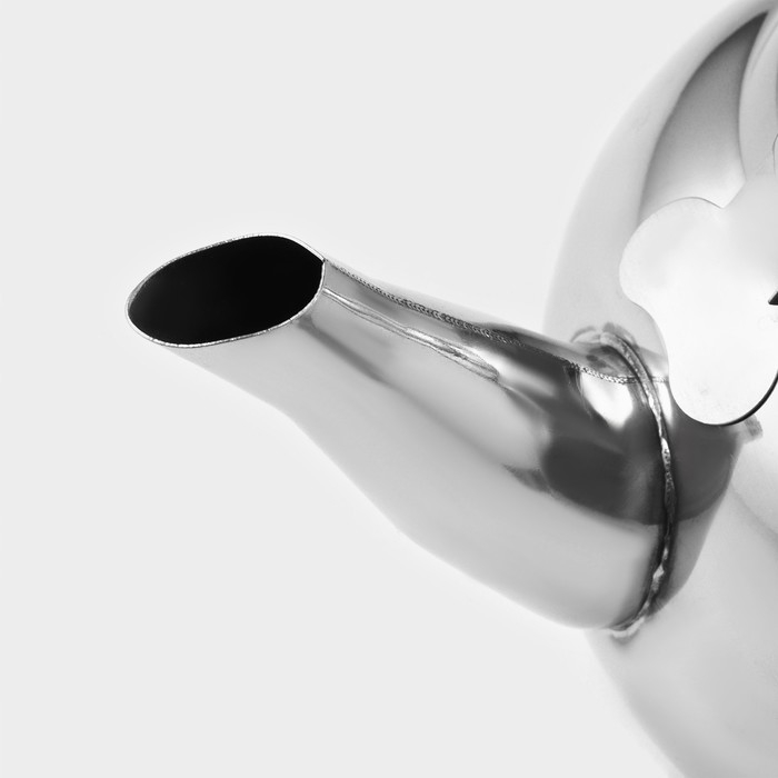 Заварочный чайник Доляна «Гретель», 700 мл, металлическое сито, нержавеющая сталь, хромированный Заварочный чайник Доляна «Гретель», 700 мл, металлическое сито, нержавеющая сталь, хромированный