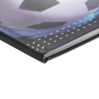 Дневник для 5-11 классов, "Мяч в воротах", твердая обложка 7БЦ, матовая ламинация, выборочный лак, 48 листов Дневник для 5-11 классов, "Мяч в воротах", твердая обложка 7БЦ, матовая ламинация, выборочный лак, 48 листов