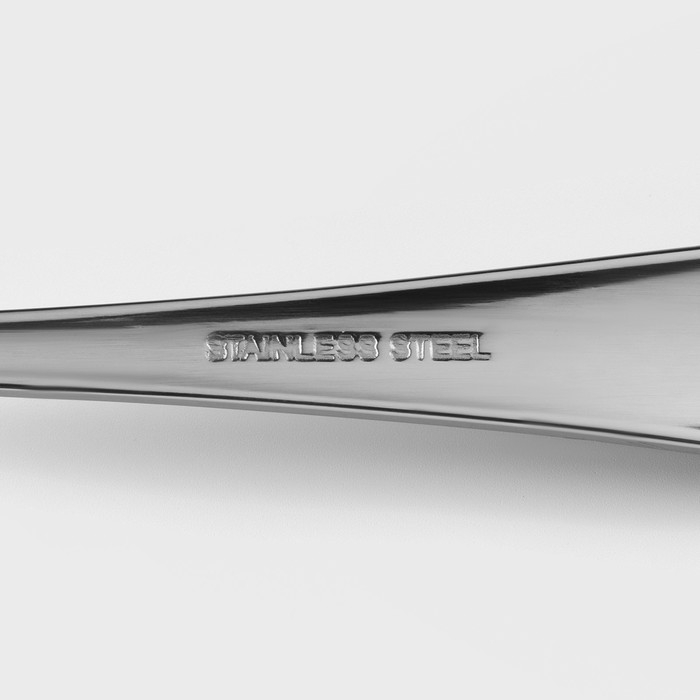 Ложка столовая из нержавеющей стали Доляна «Таун», длина 20,5 см, толщина 2 мм, цвет серебряный Ложка столовая из нержавеющей стали Доляна «Таун», длина 20,5 см, толщина 2 мм, цвет серебряный