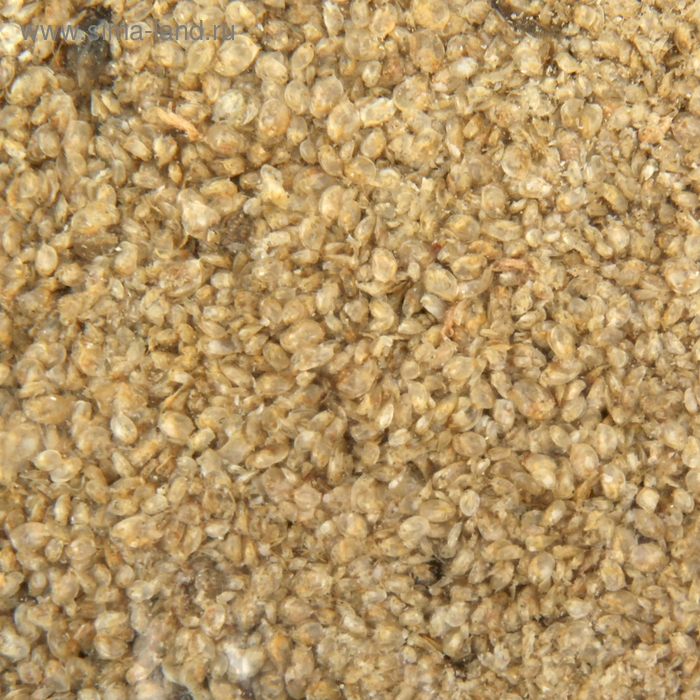 Корм для рыб Дафния, пакет, 100гр Корм для рыб Дафния, пакет, 100гр