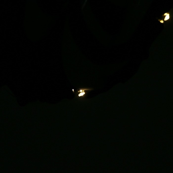 Шар фольгированный &laquo;Крылья со светом&raquo;