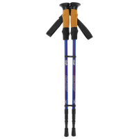Палки для скандинавской ходьбы ONLITOP, телескопические, 3 секции, до 135 см, 2 шт., цвет МИКС Палки для скандинавской ходьбы ONLITOP, телескопические, 3 секции, до 135 см, 2 шт., цвет МИКС