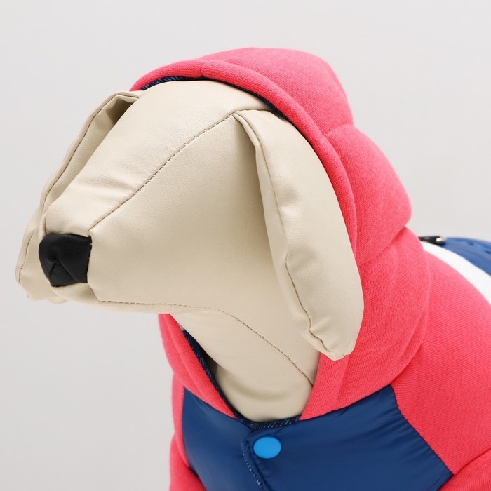 Комбинезон Комбинезон "Эльф", размер 14 (ДС 32 см, ОГ 42 см, ОШ 31 см), розово-синий