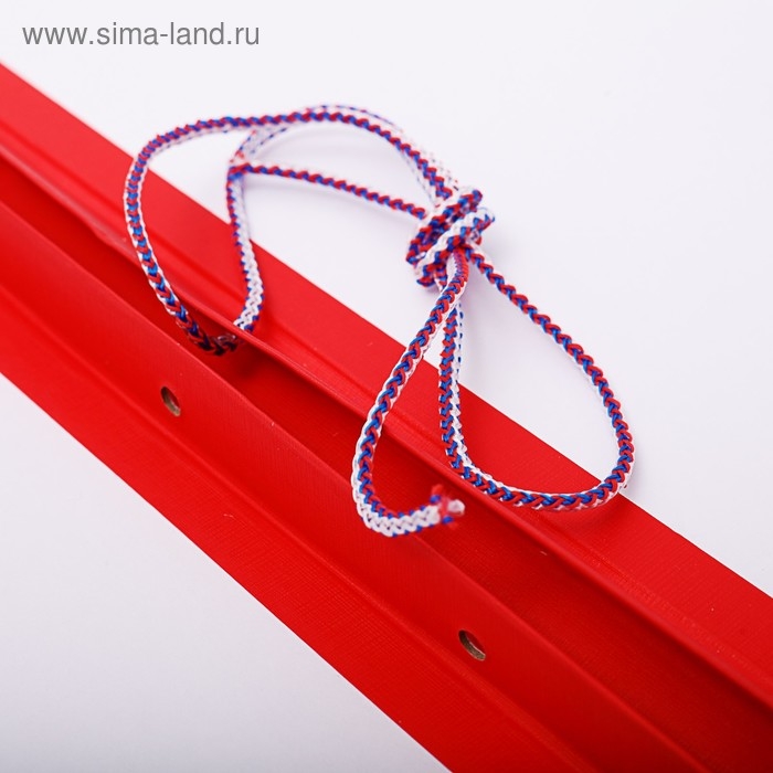 Папка Папка "Выпускная квалификационная работа на степень бакалавра" бумвинил, гребешки/сутаж, без бумаги, цвет красный (вместимость до 300 листов)