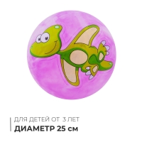 Мяч детский «Динозаврики», d=25 см, цвет МИКС Мяч детский «Динозаврики», d=25 см, цвет МИКС