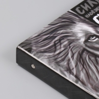 Фотоальбом 25 листов (наклейки+кольца) "Лев" 19х27х3 см Фотоальбом 25 листов (наклейки+кольца) "Лев" 19х27х3 см