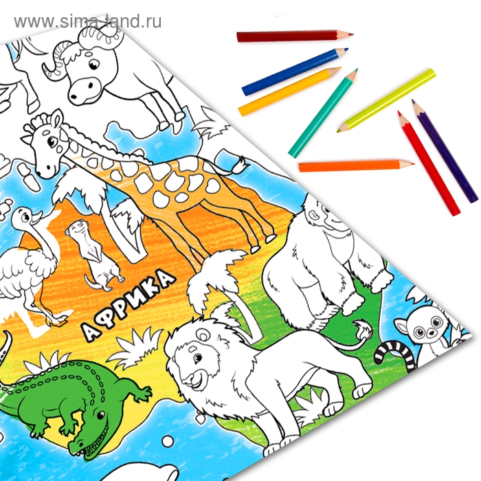 Обучающий плакат-раскраска «Животные мира», 59 × 84 см Обучающий плакат-раскраска «Животные мира», 59 × 84 см