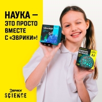 Набор для опытов «Сражение металлов» Набор для опытов «Сражение металлов»