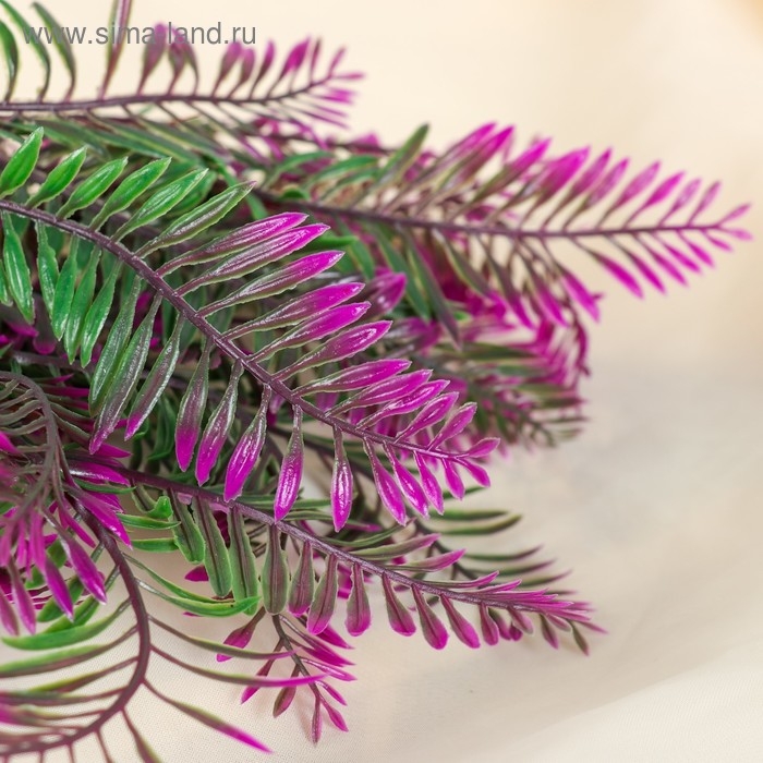 Букет Букет "Папоротник" 35 см, микс