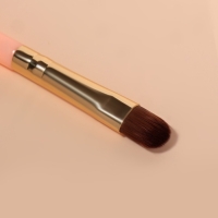 Набор кистей для макияжа, 3 предмета, цвет розовый Набор кистей для макияжа, 3 предмета, цвет розовый