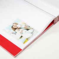 Фотоальбом на 400 фото 10х15 см "Серебристое дерево" текстиль 34,5х27,5х5,5 см Фотоальбом на 400 фото 10х15 см "Серебристое дерево" текстиль 34,5х27,5х5,5 см