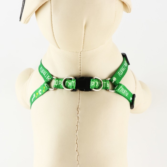 Комплект &laquo;Пора гулять&raquo;, шлейка 24-34 см, поводок 120х1 см