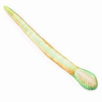 Мягкая игрушка &laquo;Змея&raquo;, зелёная, реализм, 35 см