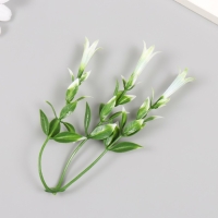 Искусственное растение для творчества "Гиппеастриум" набор 6 шт бело-зелёный 11,5 см