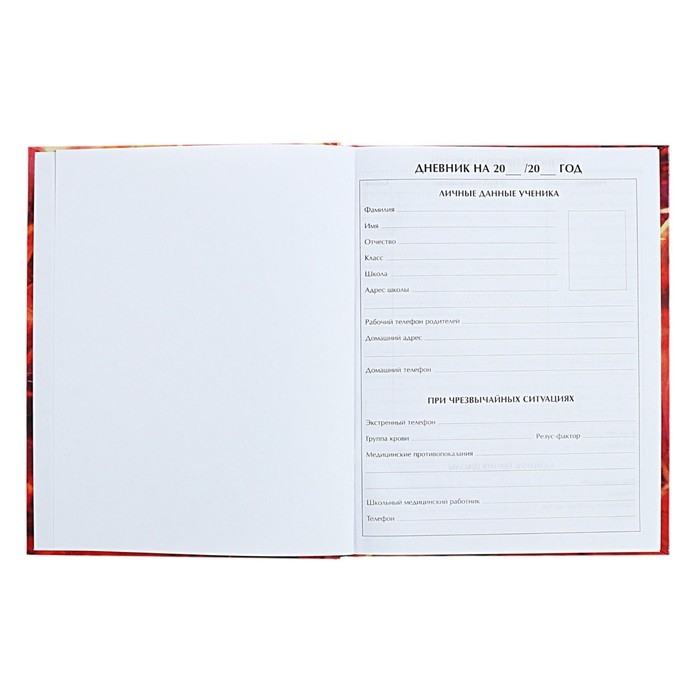 Дневник для 5-11 классов "Аниме. Парень", твёрдая обложка, глянцевая ламинация, 48 листов