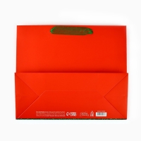 Пакет подарочный новогодний ламинированный «С Новым годом», глиттер, ML 27 х 23 х 11.5 см, Новый год Пакет подарочный новогодний ламинированный «С Новым годом», глиттер, ML 27 х 23 х 11.5 см, Новый год