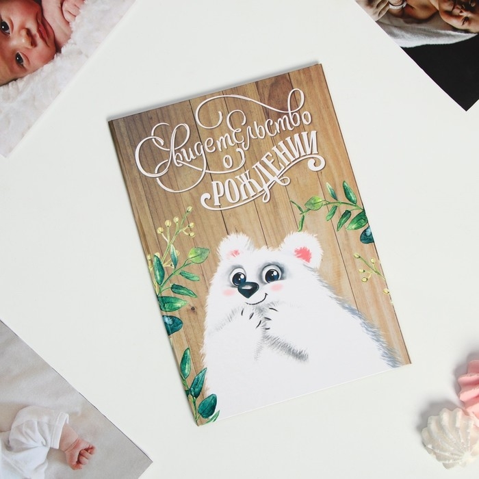 Папка для свидетельства о рождении «Миша», А5 Папка для свидетельства о рождении «Миша», А5