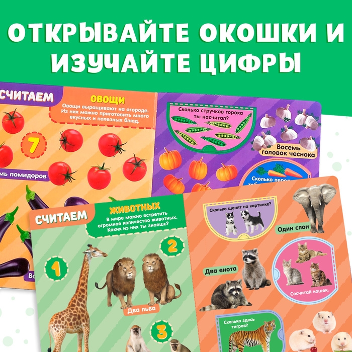 Книжка картонная с окошками &laquo;Цифры&raquo;, 10 стр.