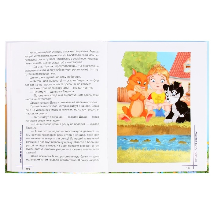 Книжка &laquo;Понарошкино. Сказочный городок&raquo;, Шевченко А. А.