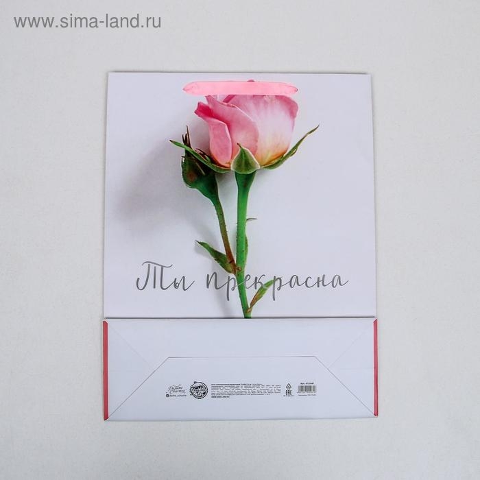 Пакет подарочный ламинированный вертикальный, упаковка, «Ты прекрасна», L 31 х 40 х 11,5 см Пакет подарочный ламинированный вертикальный, упаковка, «Ты прекрасна», L 31 х 40 х 11,5 см