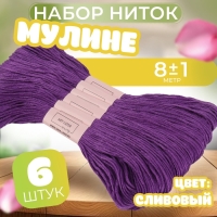 Набор ниток мулине №3348, 8 &plusmn; 1 м, 6 шт, цвет сливовый