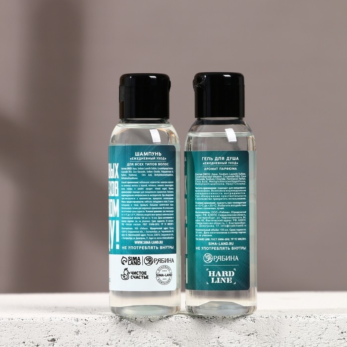 Подарочный набор косметики &laquo;Новых побед&raquo;, гель для душа и шампунь для волос, 2 х 100 мл, Новый Год