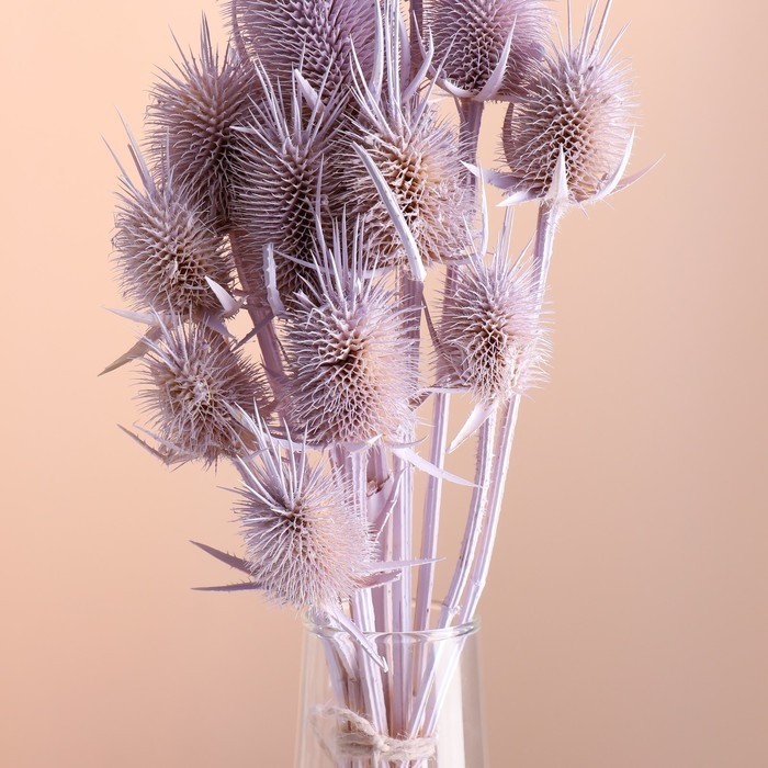 Набор сухоцветов Набор сухоцветов "Ворсянка", банч 7-8 шт, 50 гр, длина 50 (+/- 6 см), сиреневый