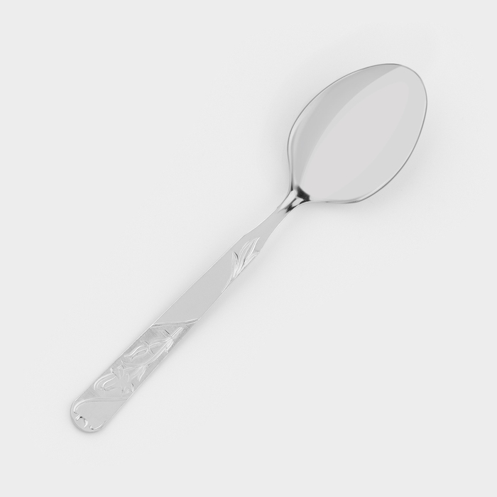 Ложка столовая «Эконом», h=20 см, толщина 1.5 мм, цвет серебряный Ложка столовая «Эконом», h=20 см, толщина 1.5 мм, цвет серебряный