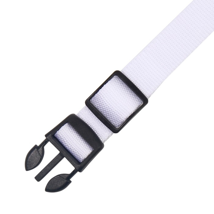 Ошейник с подсветкой Двойная полоса размер XL, ОШ 52-60 х 2,5 см, 3 режима свечения белый
