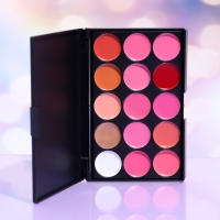 Палетка блесков для губ из 15 оттенков Палетка блесков для губ из 15 оттенков
