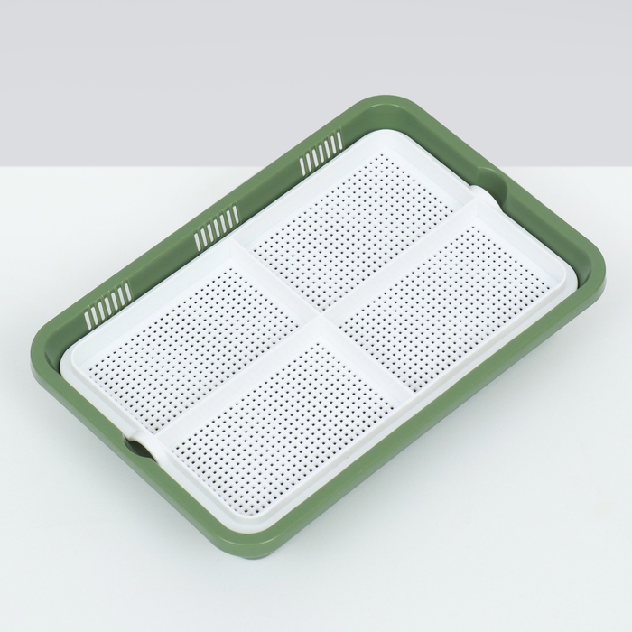 Лоток для проращивания травы кошкам 26,5 х 17,5 х 5 см