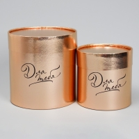 Набор золотых шляпных коробок 2 в 1, упаковка подарочная, &laquo;Для тебя&raquo;, 12 х 12, 15 х 15 см