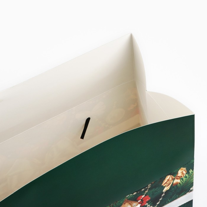 Пакет - коробка &laquo;Новогодний подарок&raquo;, 23 х 18 х 11 см, Новый год