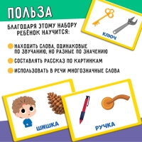 Развивающий набор &laquo;Омонимы&raquo;