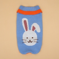 Свитер "Зайка", 2XL (ДС 34, ОШ 34, ОГ 32-51 см) Свитер "Зайка", 2XL (ДС 34, ОШ 34, ОГ 32-51 см)