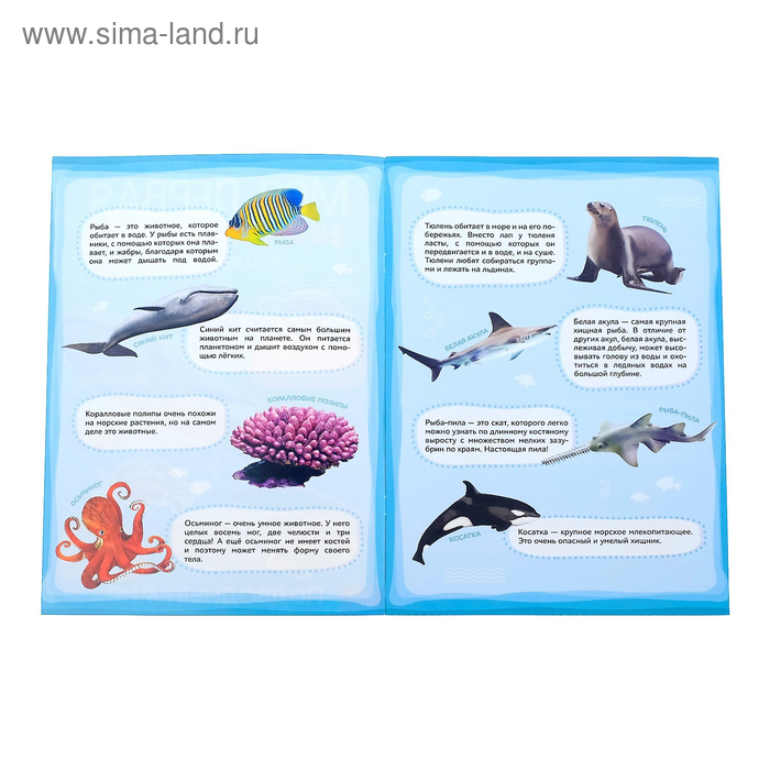 Набор книг с наклейками &laquo;Первые энциклопедии малыша&raquo;, 4 шт. № 1