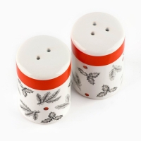 Новый год. Набор для специй керамический &laquo;Рождественский!&raquo;, 12х6.5х7 см, цвет белый